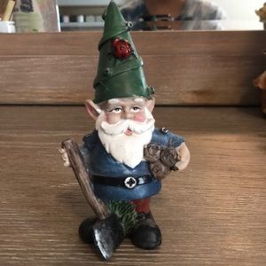 Walter the Garden Gnome